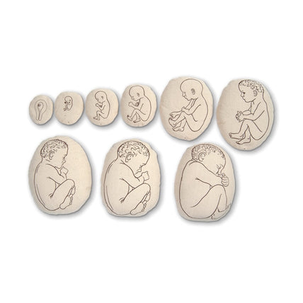 Womb to Grow Model Set, nine pillowlike childbirth education models with image of growing fetus, Childbirth Graphics, 79869