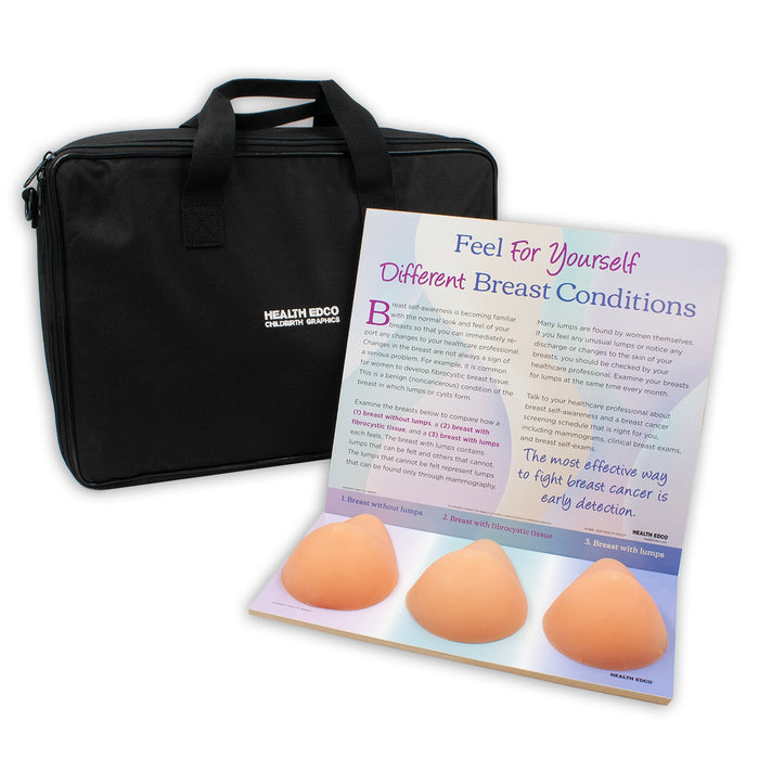 Multi Type BSE Model, Beige, three beige breast health education models, English Spanish display information and case, 26426