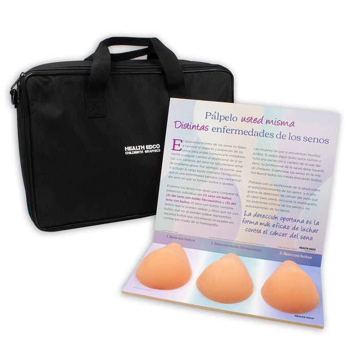 Multi Type BSE Model, Beige, three beige breast health education models with Spanish informational display background, 26426