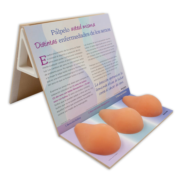 Multi-Type BSE Model shown from side with Spanish display, women's breast health education model, Health Edco, 26426