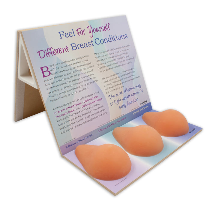 Multi-Type BSE Model shown from side with both backgrounds attached, women's breast health education model, Health Edco, 26426