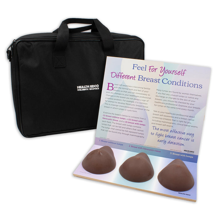 Multi-Type BSE Model, Brown, three brown breast models for breast self-exam for health education and case, Health Edco, 26427