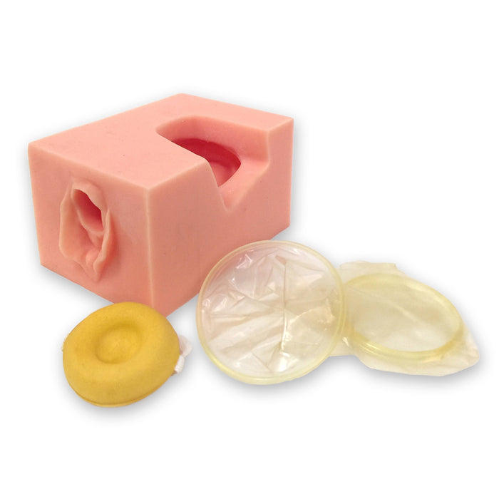Female Pelvis Contraceptive Model, synthetic tissue model to practice proper insertion of contraceptives, Health Edco, 26462