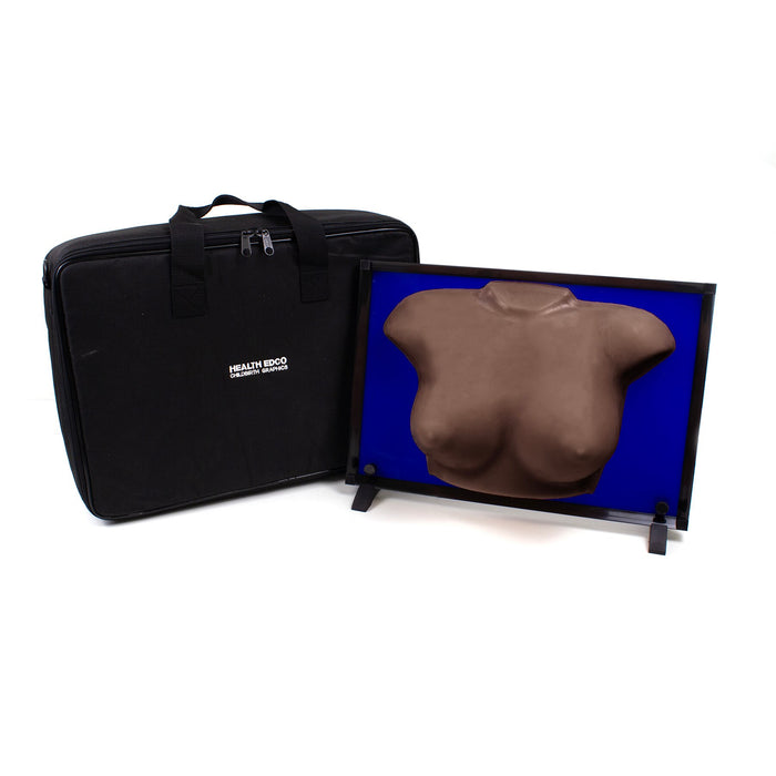 Group BSE Model, Brown, female chest model to teach breast self-exam for women's health education, Health Edco, 26548