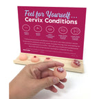 Feel for Yourself: Cervix Conditions Display for health education by Health Edco to promote cervical cancer screening, 26805
