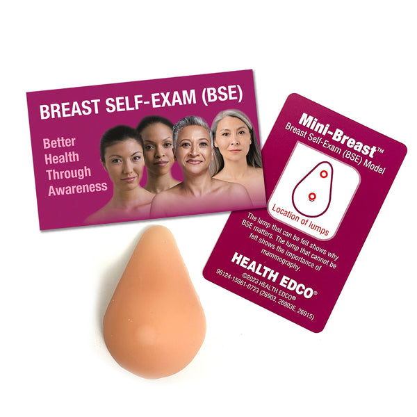 Mini-Breast Model, Beige, women's health education tiny breast self-exam model and breast self-awareness, Health Edco, 26903