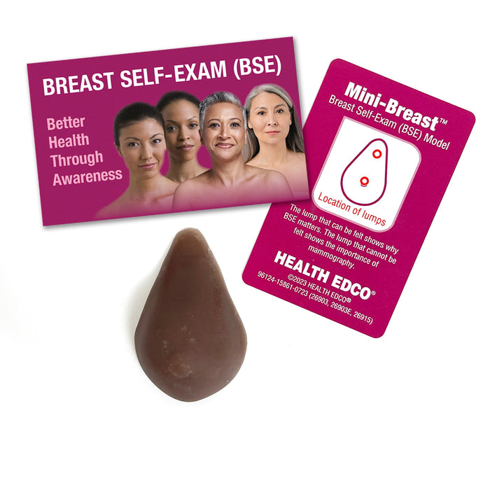 Mini-Breast Model, Brown, tiny brown breast model with lumps for women's breast health education, Health Edco, 26903E