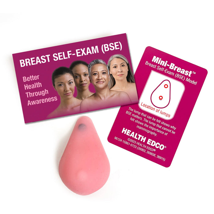 Mini-Breast Model, Pink, breast health education model, breast self-exam guide, and lump key, Health Edco, 26915