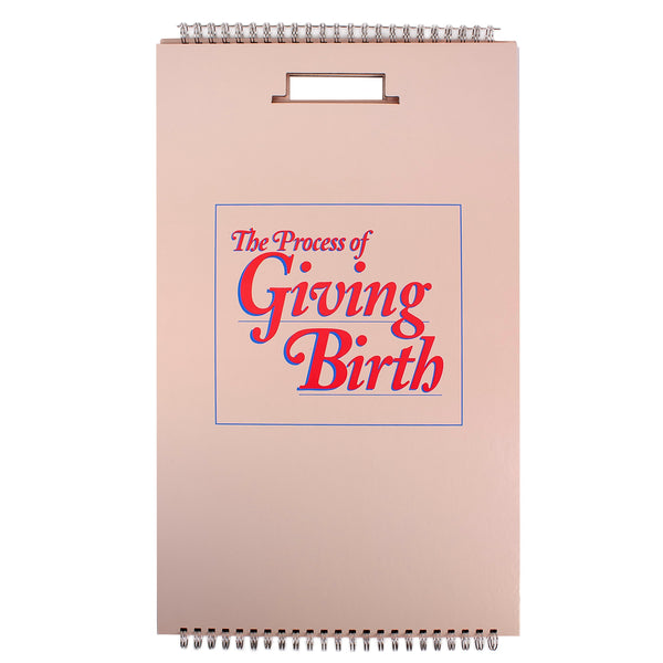 The Process of Giving Birth Flip Chart, childbirth education teaching bound chart set, cover, Childbirth Graphics, 43301