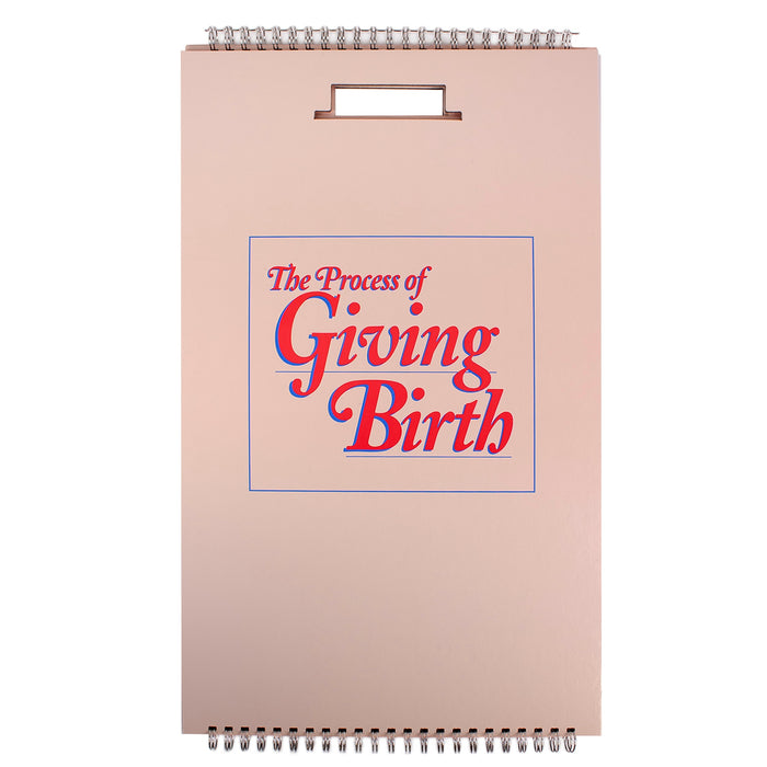 The Process of Giving Birth Flip Chart, childbirth education teaching bound chart set, cover, Childbirth Graphics, 43301
