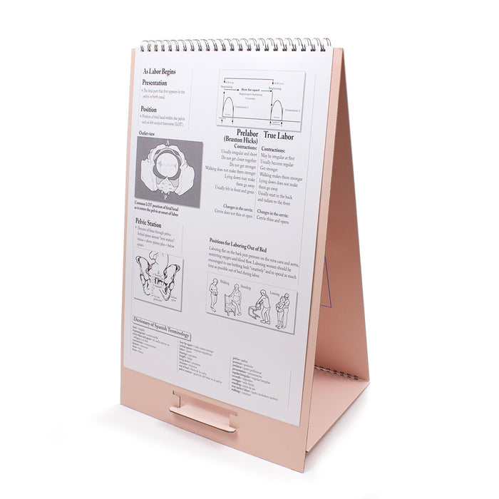 The Process of Giving Birth Flip Chart, bound chart set, teaching notes side of start of labor, Childbirth Graphics, 43301