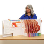 With Child Large-Size Spiral-Bound Charts, instructor using large childbirth education charts, Childbirth Graphics, 43313