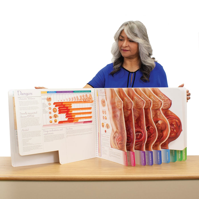 With Child Large-Size Spiral-Bound Charts, instructor using large childbirth education charts, Childbirth Graphics, 43313