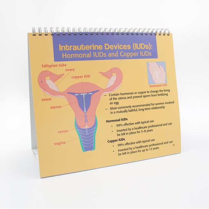 Understanding Birth Control Flip Chart, health education flip chart on contraceptive methods, IUD panel, Health Edco, 43325