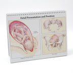 Childbearing: The Classic Series Desk Version Flip Chart, teaching chart of fetal presentation, Childbirth Graphics, 50702