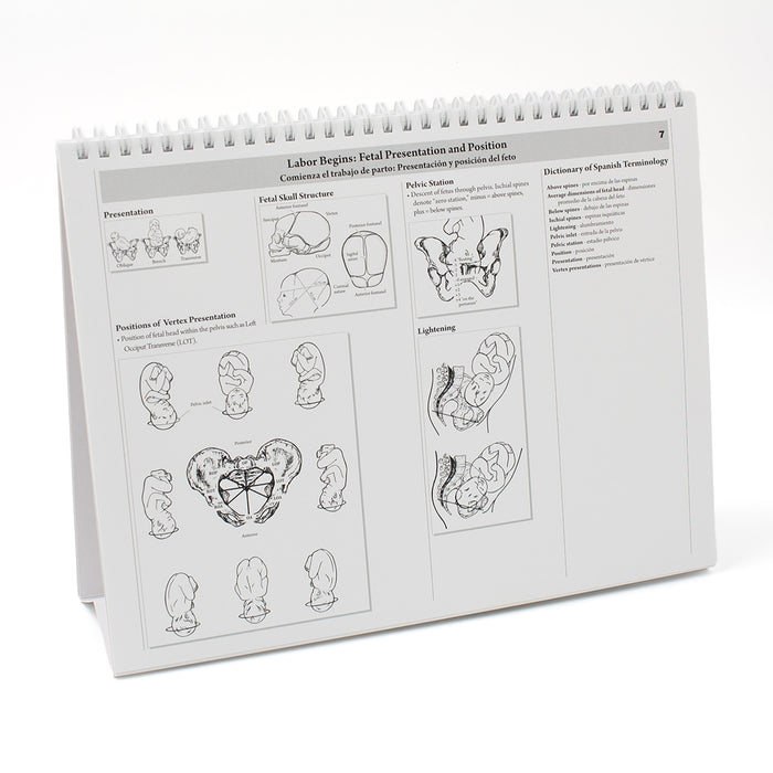 Childbearing: The Classic Series Desk Version Flip Chart, teaching chart notes on fetal position, Childbirth Graphics, 50702