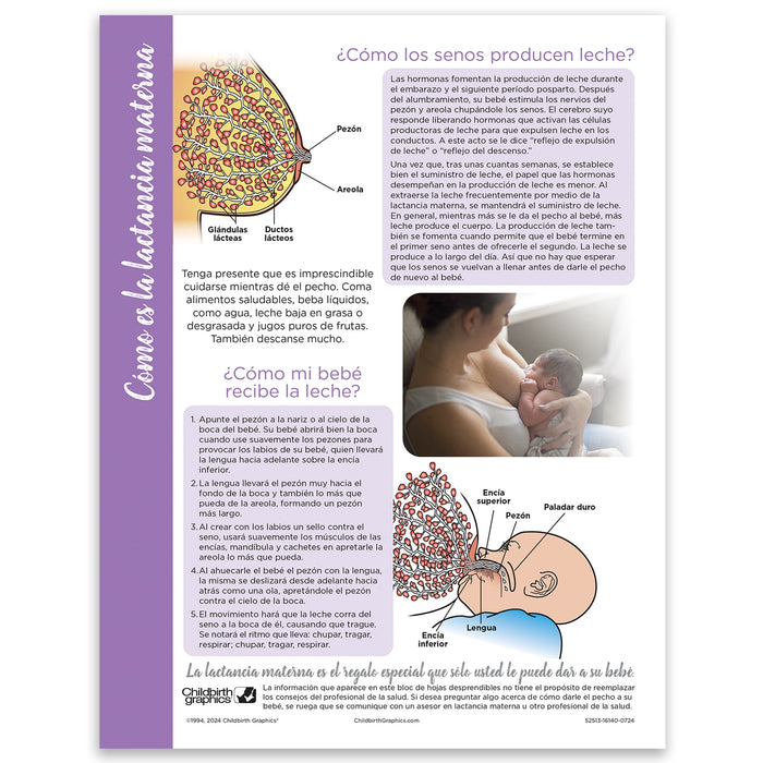 How Breastfeeding Works Tear Pad, Childbirth Graphics breastfeeding and lactation education handout, Spanish side, 52513