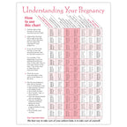 Timeline of Pregnancy educational tear pad from Childbirth Graphics, back side with estimated due date chart, 52536