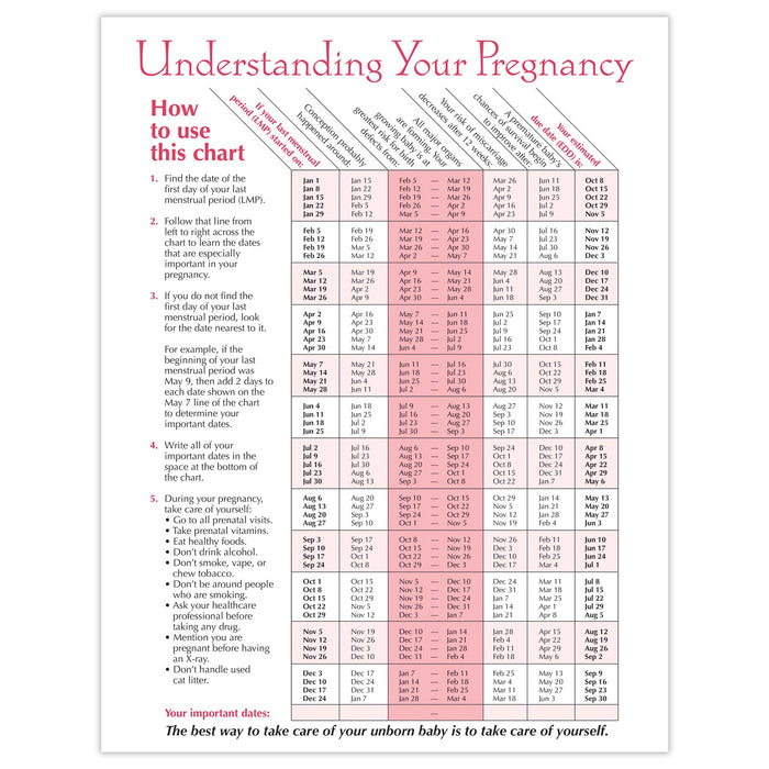 Timeline of Pregnancy educational tear pad from Childbirth Graphics, back side with estimated due date chart, 52536