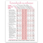 Timeline of Pregnancy childbirth education tear pad in Spanish from Childbirth Graphics showing fetal development, 52537