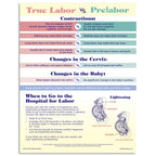 Signs of Labor Tear Pad  by Childbirth Graphics for childbirth education and teaching about labor and cervical changes, 52567