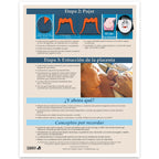 Stages of Labor Tear Pad in Spanish for childbirth education from Childbirth Graphics, childbirth teaching materials, 52604