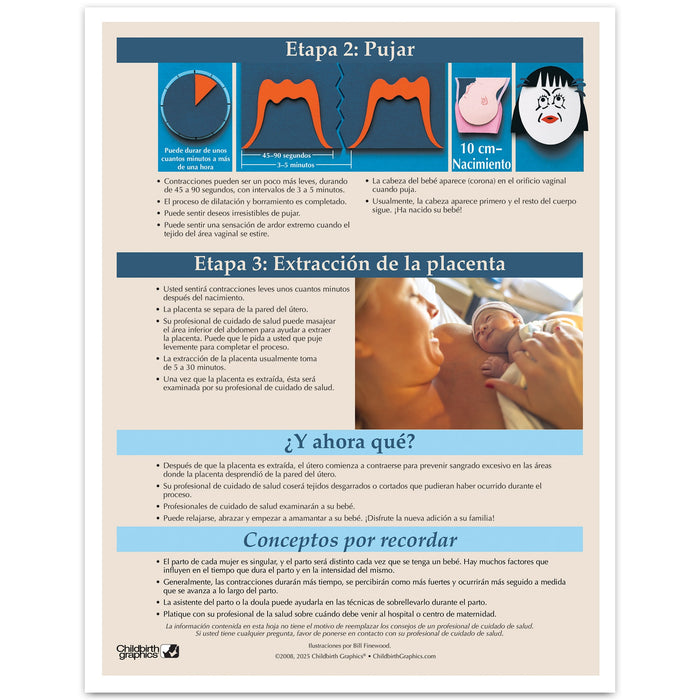 Stages of Labor Tear Pad in Spanish for childbirth education from Childbirth Graphics, childbirth teaching materials, 52604