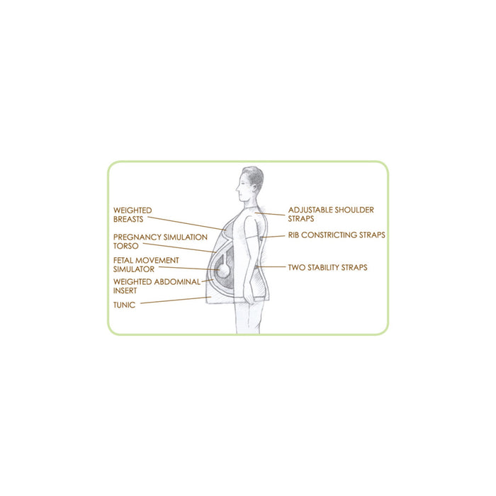 With Child Simulator, childbirth education vest and activity to simulate pregnancy, Childbirth Graphics, 54427