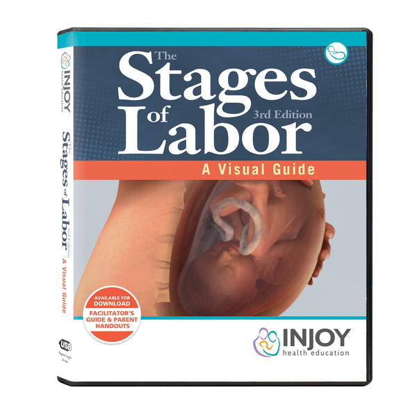 The Stages of Labor 3rd Edition: A Visual Guide USB, childbirth education materials and videos, Childbirth Graphics, 71420
