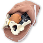 Abdominal Palpation Model Set, childbirth education model with cover open to show fetus & pelvis, Childbirth Graphics, 78936
