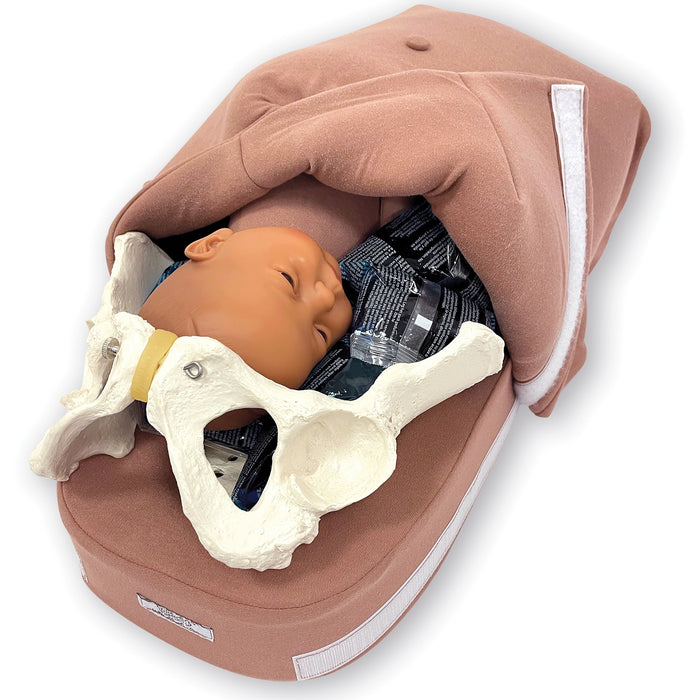 Abdominal Palpation Model Set, childbirth education model with cover open to show fetus & pelvis, Childbirth Graphics, 78936