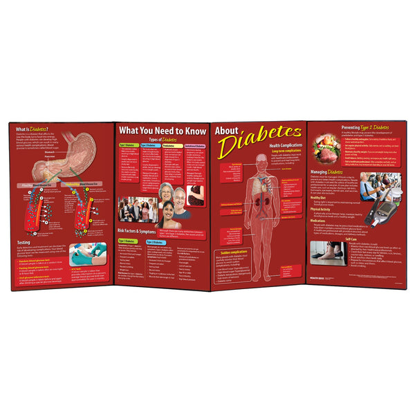 What You Need to Know About Diabetes folding display for health education from Health Edco, diabetes teaching tools, 79302