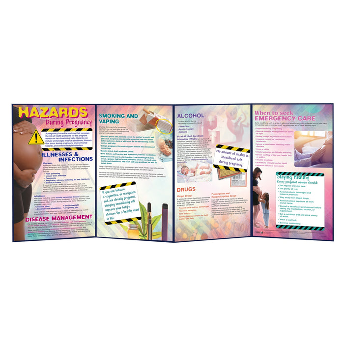 Hazards During Pregnancy Folding Display, prenatal education folding display, Childbirth Graphics teaching materials, 79349