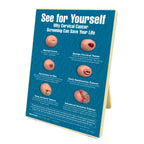 See for Yourself: Why Cervical Cancer Screening Can Save Your Life Easel Display, health models of cervices, Health Edco, 79733