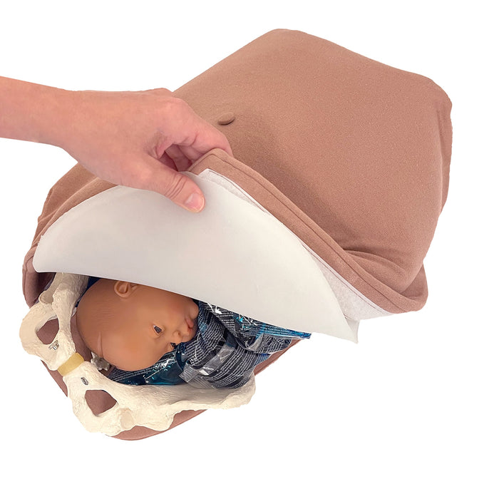 Abdominal Palpation Model, hand pulling teaching cover to show fetus and pelvis models inside, Childbirth Graphics, 79820