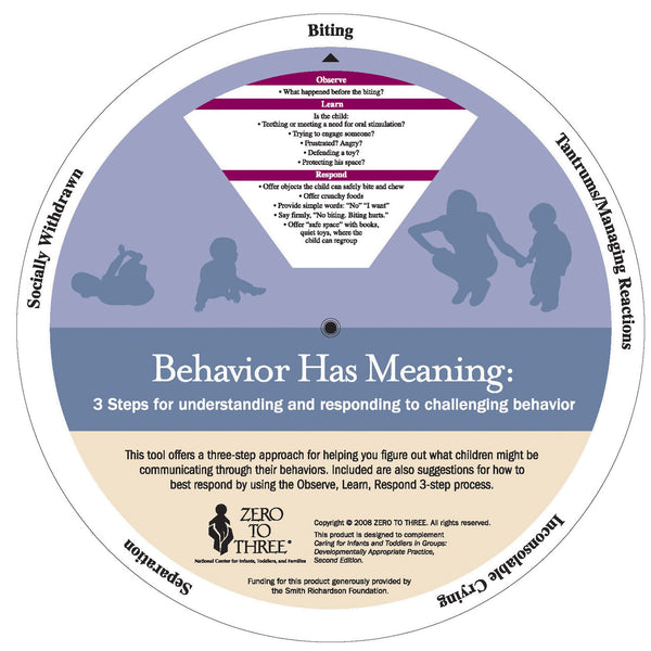 Behavior Has Meaning Wheels (10)