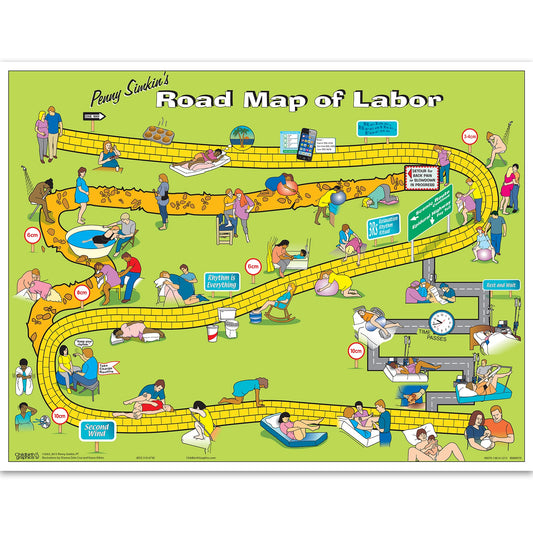Penny Simkin's Road Map of Labor Interactive Display