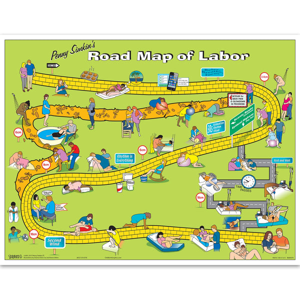 Penny Simkin's Road Map of Labor Interactive Display