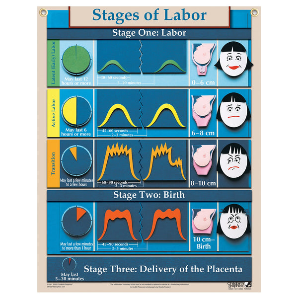 Stages of Labor Chart for childbirth education from Childbirth Graphics, English text with pictorial illustrations, 90620