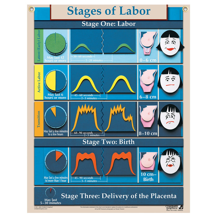 Stages of Labor Chart for childbirth education from Childbirth Graphics, English text with pictorial illustrations, 90620