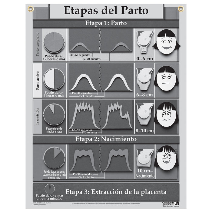 Stages of Labor Chart for childbirth education from Childbirth Graphics, Spanish text with pictorial illustrations, 90620