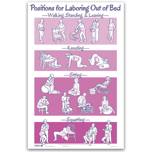 Positions for Laboring Out of Bed Chart from Childbirth Graphics with illustrations of labor comfort positions, 90673