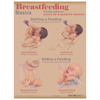 Breastfeeding Basics Chart, breastfeeding education chart in Breastfeeding Chart Set (8), Childbirth Graphics, 90809